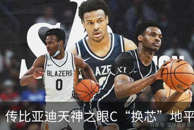 传比亚迪天神之眼C“换芯”地平线HSD：老天神C走向停产