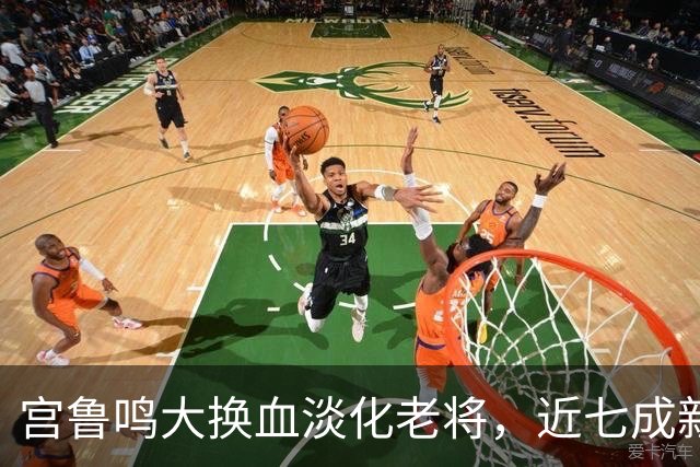 宫鲁鸣大换血淡化老将，近七成新人挑大梁，限用张子宇布局奥运