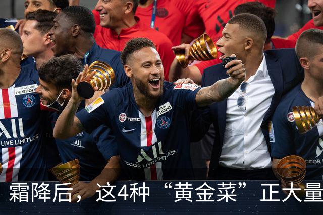 霜降后，这4种“黄金菜”正大量上市，农残少还便宜，鲜嫩营养高，比吃萝卜白菜还养人！